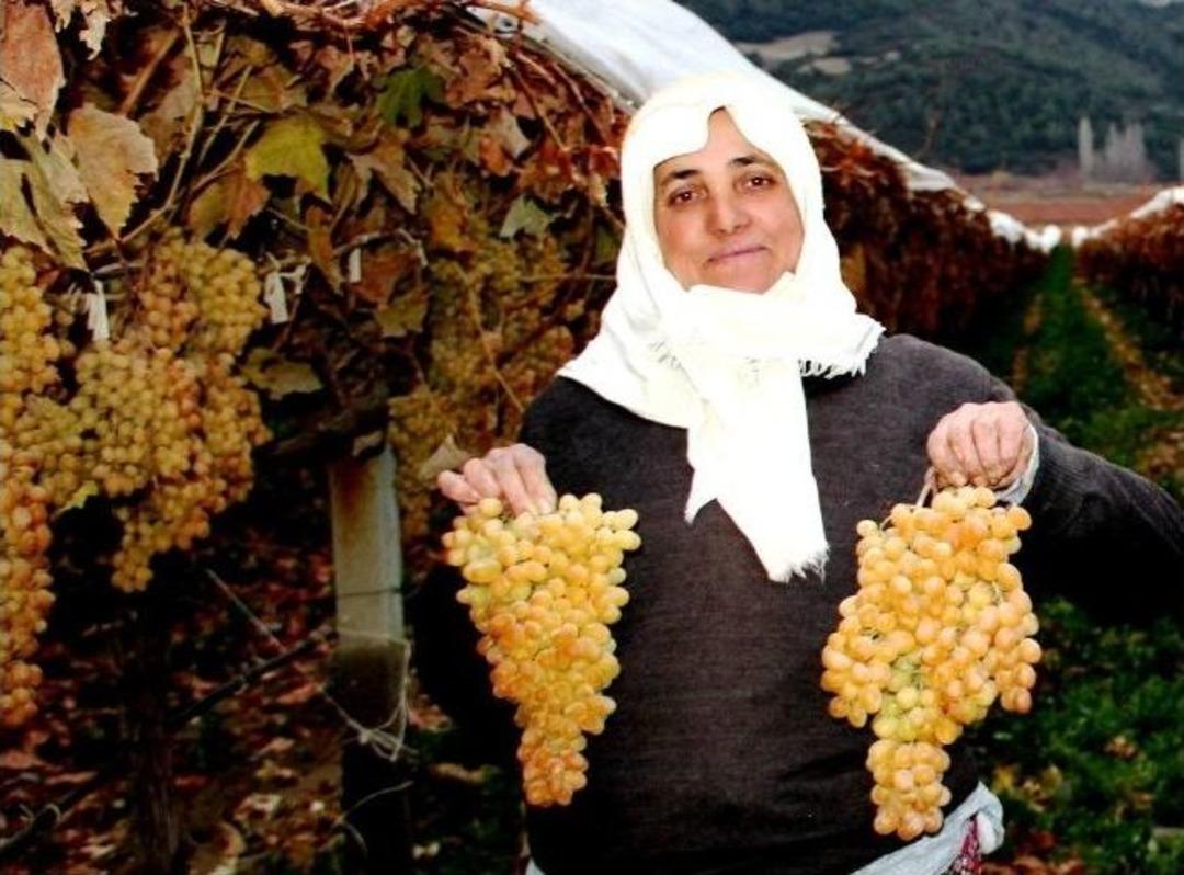 Yılbaşında Sofralar Taze &Uuml;z&uuml;m G&ouml;recek