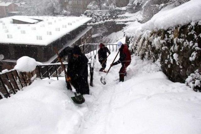 Bitlis Belediyesinden Karla Mücadele Çalışması