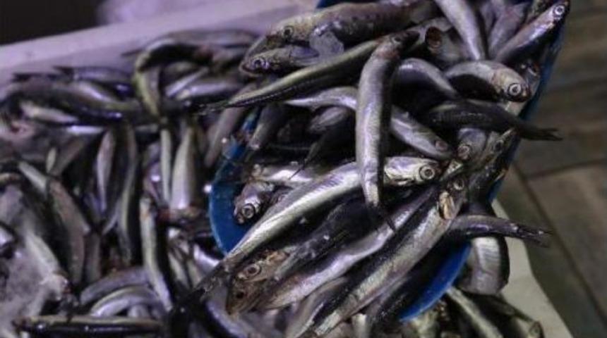 Kar Yağdı, Hamsi Fiyatı 15 Liraya &Ccedil;ıktı