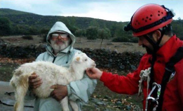 Kuyuya Düşen Oğlağı Akut Kurtardı