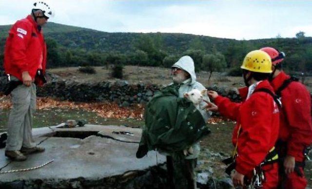 Kuyuya Düşen Oğlağı Akut Kurtardı