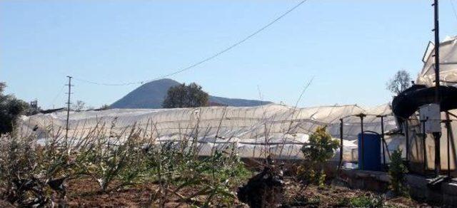 Fırtına Seraları Yıktı, Ağa&ccedil;ları Devirdi 1