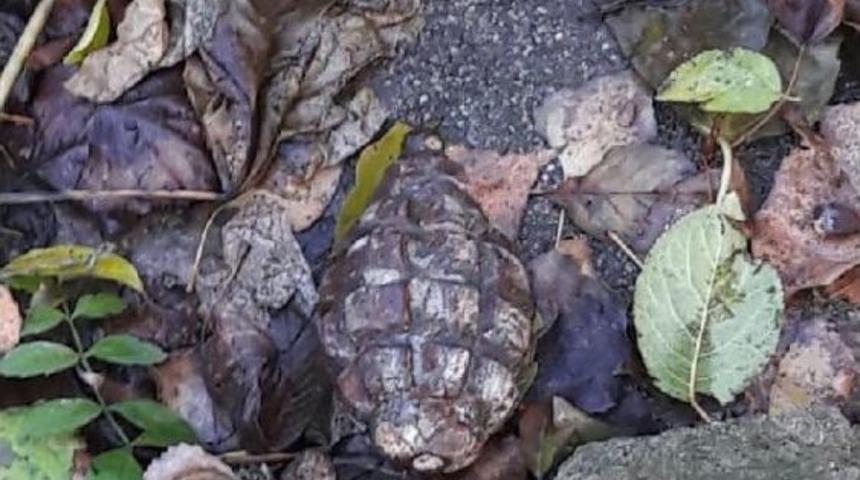 &Ccedil;ekmek&ouml;y'de El Bombası Alarmı (2)