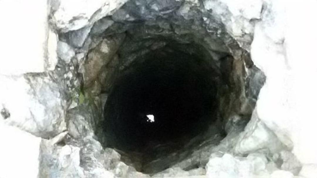 Yavru Ke&ccedil;i İ&ccedil;in Seferber Oldular