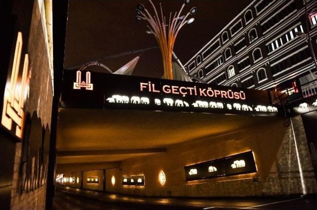 Fil Ge&ccedil;ti K&ouml;pr&uuml;s&uuml;&rsquo;ne Muhteşem Peyzaj