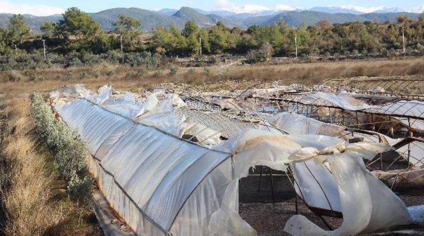 Muz Seralarını Fırtına Vurdu