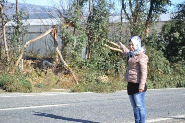 Anamur’Da Fırtına Zarara Neden Oldu