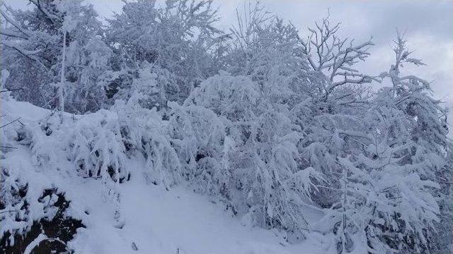 Cide’de Eğitime Kar Engeli 1