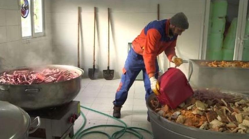 Sevimli Dostlar I&ccedil;in Herg&uuml;n 4 Ton Yiyecek Hazır