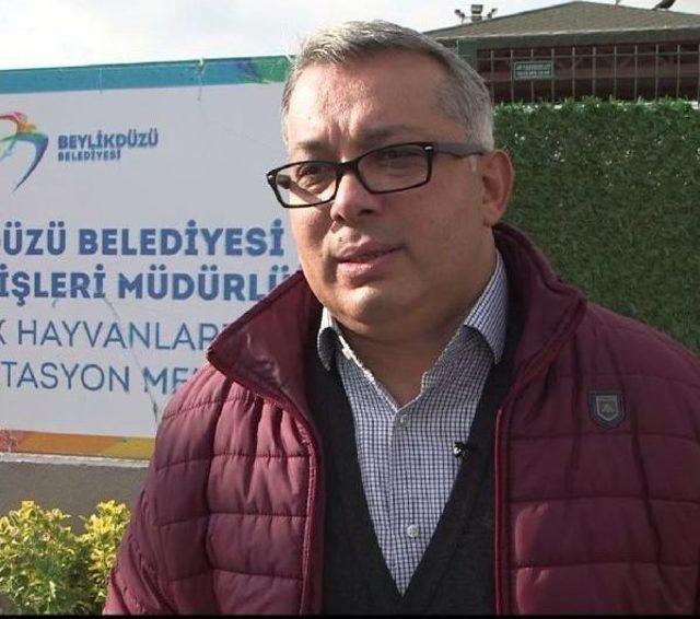 Sevimli Dostlar Için Hergün 4 Ton Yiyecek Hazır