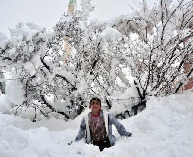 Bitlis’Te 350 Köy Yolu Ulaşıma Kapandı, Okullar Tatil Edildi