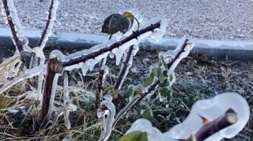 &nbsp;G&ouml;l Kenarındaki G&uuml;ller Buz Tuttu