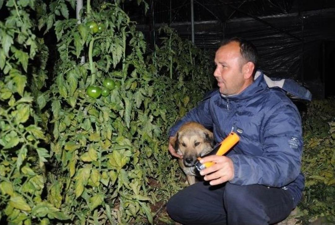 &Uuml;reticilerin Zirai Don Mesaisi