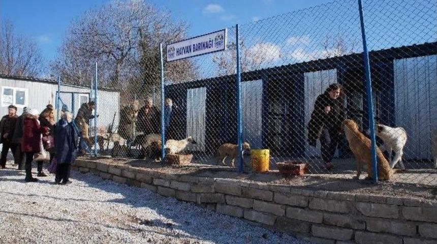 Lapseki Hayvan Barınağı A&ccedil;ıldı