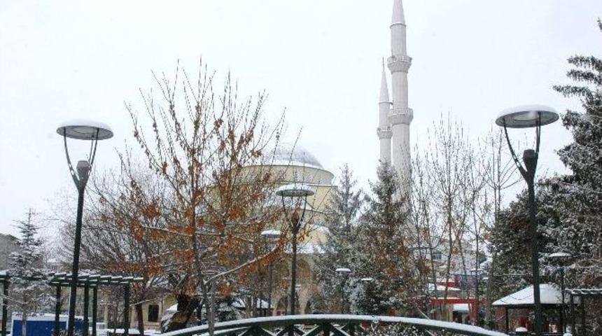 Karla Gelen G&uuml;zellik