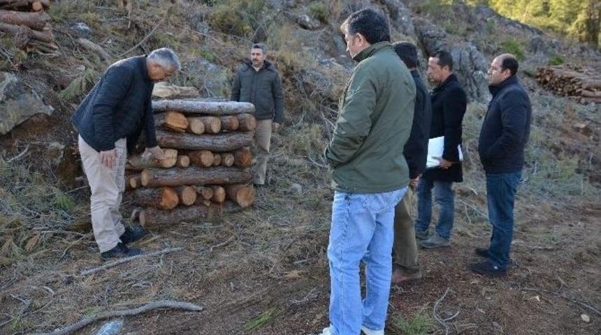 B&ouml;lge M&uuml;d&uuml;r&uuml; Yılmaz, Bozyazı Orman Arazilerini İnceledi