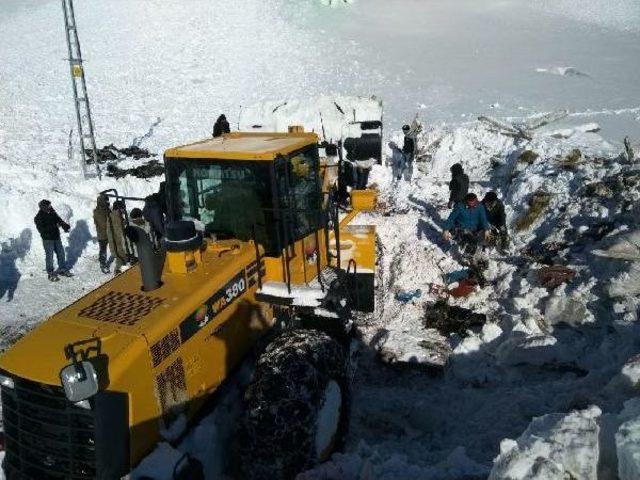 Bingöl, Tunceli Ve Siirt'te Kar Esareti Sürüyor