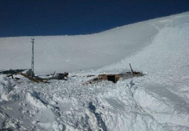 Bingöl, Tunceli Ve Siirt'te Kar Esareti Sürüyor