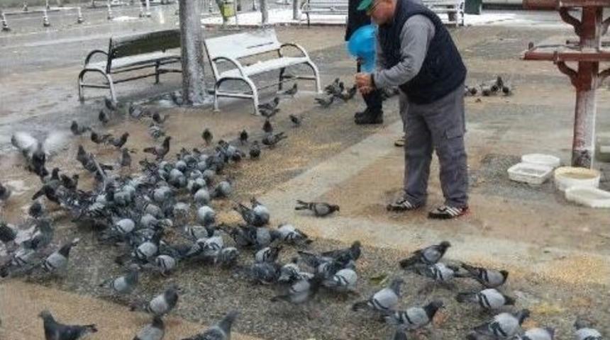Gaziantep B&uuml;y&uuml;kşehir Belediyesi Sokak Hayvanlarına Sahip &Ccedil;ıkıyor