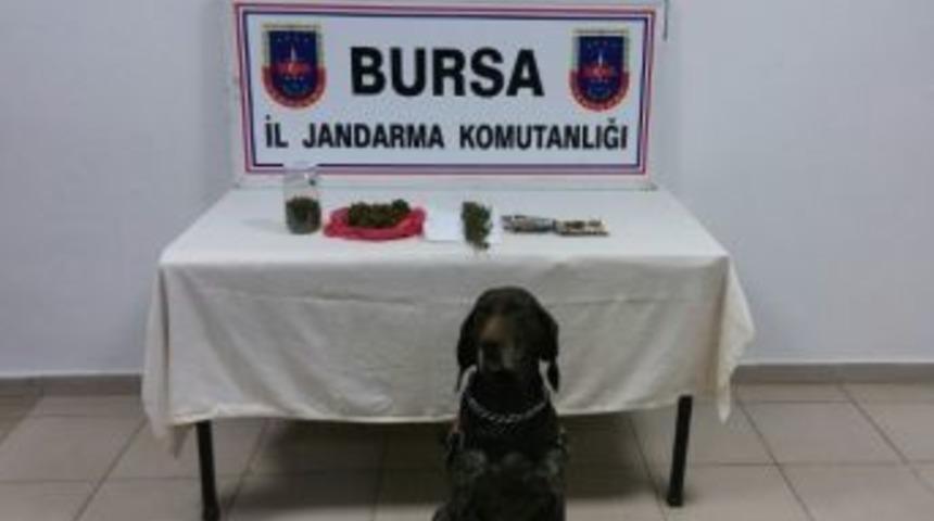 Zehir Tacirine "roket"li Darbe