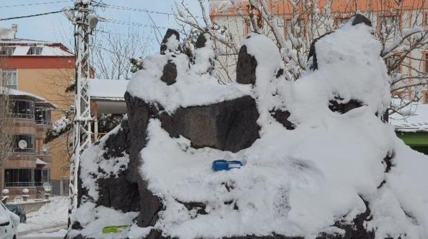 Yaban Hayvanları İçin Doğaya Yem Bırakıldı