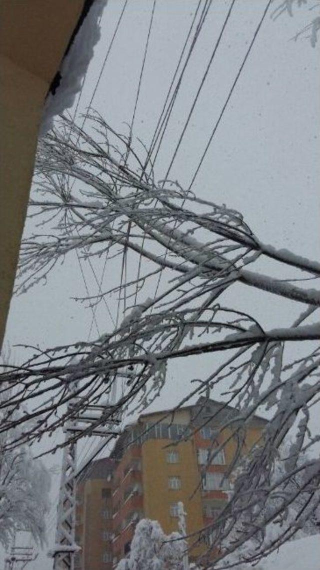 Bitlis Karanlıkta Kaldı