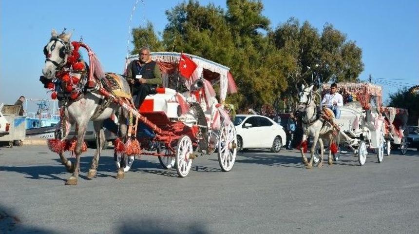 Faytonlara Plaka Uygulaması