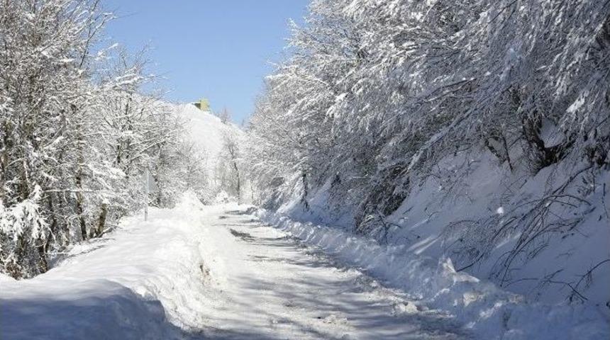 Tekkek&ouml;y&rsquo;de 7/24 Karla M&uuml;cadele