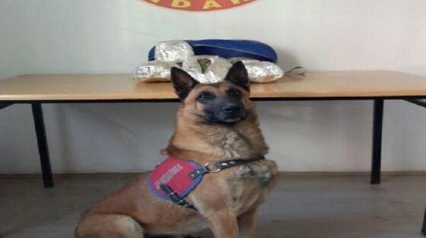 Yolcunun &Ccedil;antasındaki 4 Kilo Esrarı Evlat Buldu