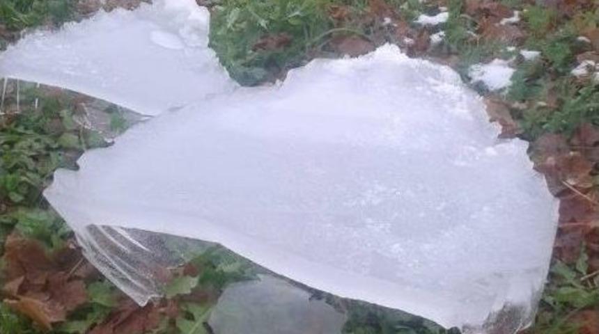 &Uuml;z&uuml;mler Buz Tuttu