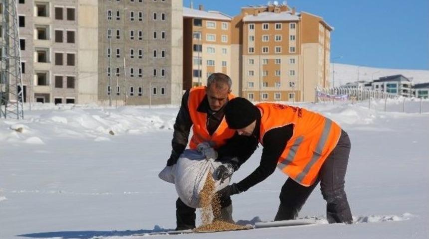 Elazığ&rsquo;da Kuşlar İ&ccedil;in Doğaya Yem Bırakıldı