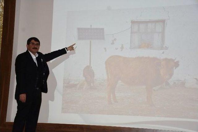 Şehzadeler, Güneş’ten Enerji Elde Edecek