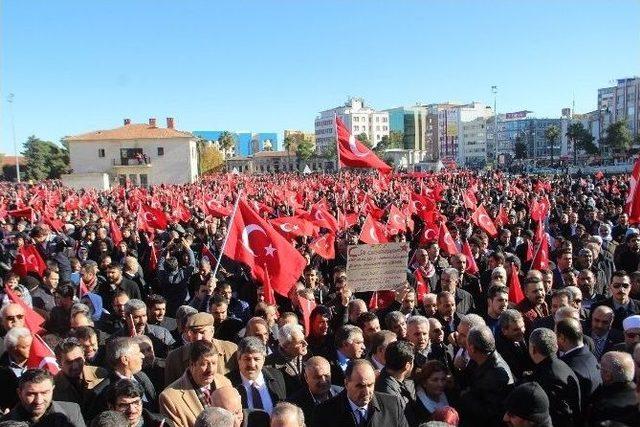 Şanlıurfa’da Binlerce Kişi Terörü Kınadı