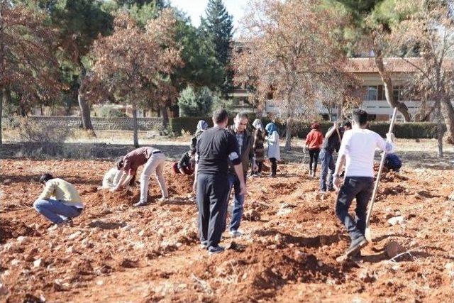 Gaziantep Üniversitesi Fotoğraf Topluluğundan Örnek Davranış