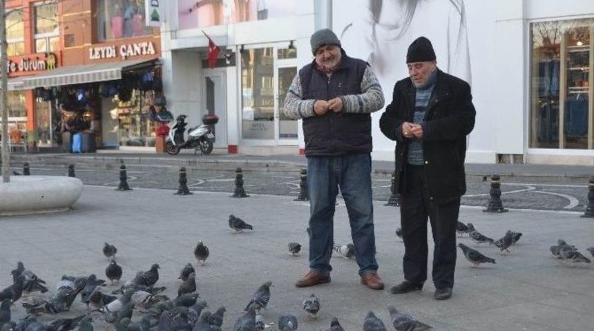 Duyarlı Taksiciler 2 Yıldır G&uuml;vercin Besliyor