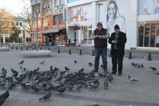 Duyarlı Taksiciler 2 Yıldır Güvercin Besliyor