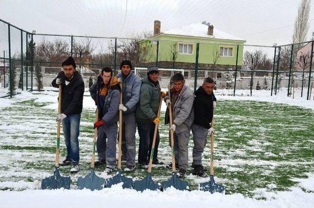 Bünyan Belediyesi Sokak Ve Yaban Hayvanlarını Unutmuyor