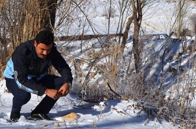 Bünyan Belediyesi Sokak Ve Yaban Hayvanlarını Unutmuyor