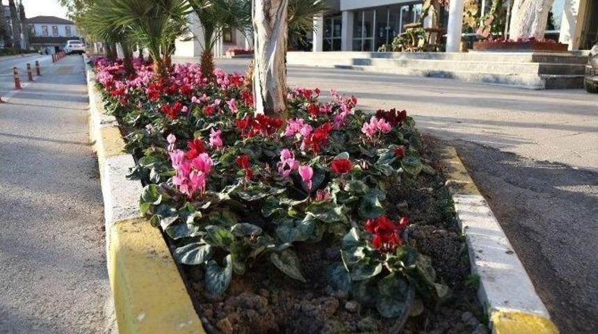 Urla&rsquo;nın Sokaklarına Renkli Dokunuş