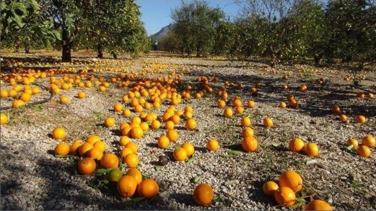 Mersin&rsquo;de Şiddetli Fırtına Bin 500 D&ouml;n&uuml;m Arazide Zarara Yol A&ccedil;tı