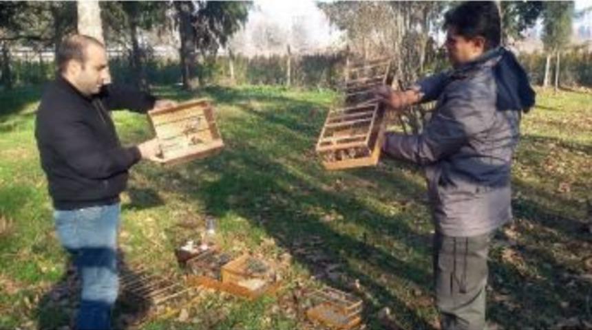 Bursa’da Kaçak Avlanan Sakalar Hürriyetlerine Kavuştu