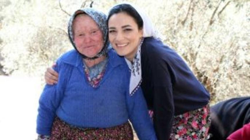 Ak Kadınlar Şalvar Giyip Zeytin Topladı