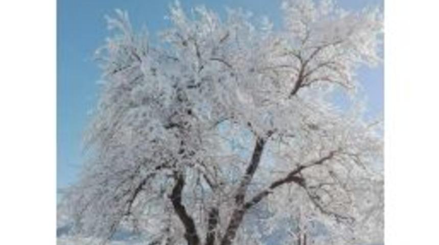 Karadeniz&rsquo;de Dereler Dondu