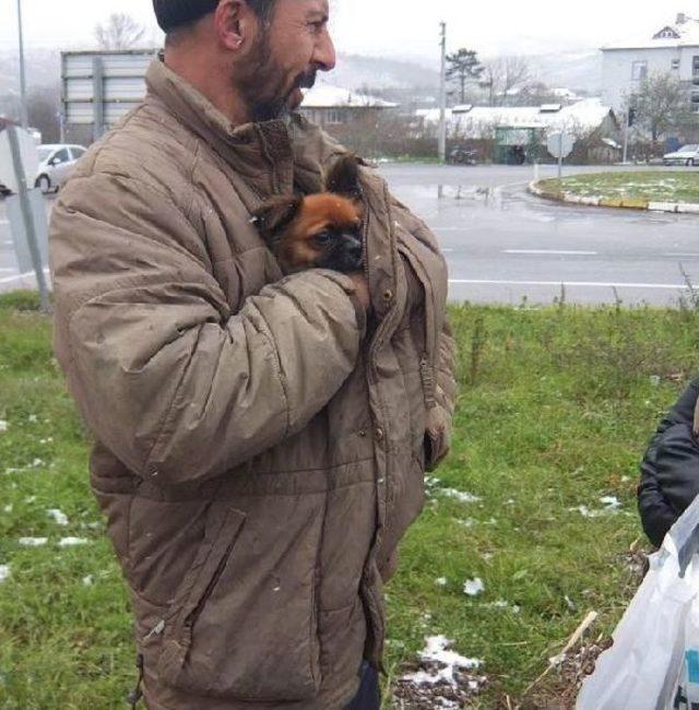 Kazada Yaralanan S&uuml;r&uuml;c&uuml;n&uuml;n K&ouml;peğine Sahip &Ccedil;ıktı 3