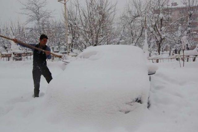 Doğu'da Kar Esareti