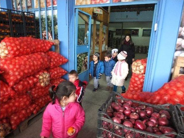 Anaokulu Öğrencileri Meyveleri Tanıdı, Alışveriş Yaptı