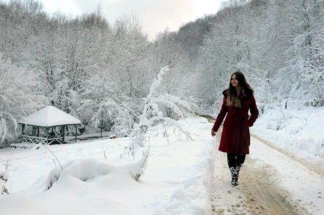 Zonguldak Kent Ormanı'nda Kar Güzelliği