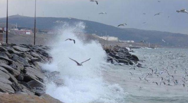 Bandırma'da Fırtınaya Yakalanan Deniz Otobüsü Geri Dönmek Zorunda Kaldı