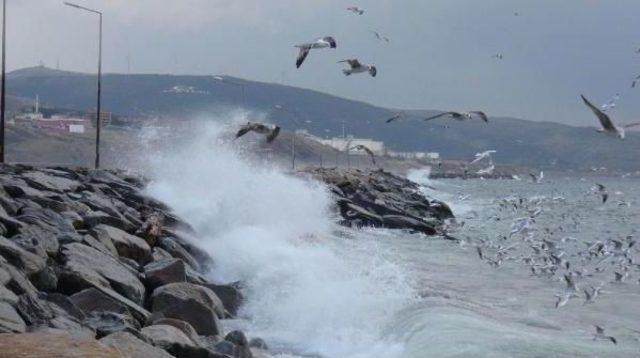 Bandırma'da Fırtınaya Yakalanan Deniz Otobüsü Geri Dönmek Zorunda Kaldı