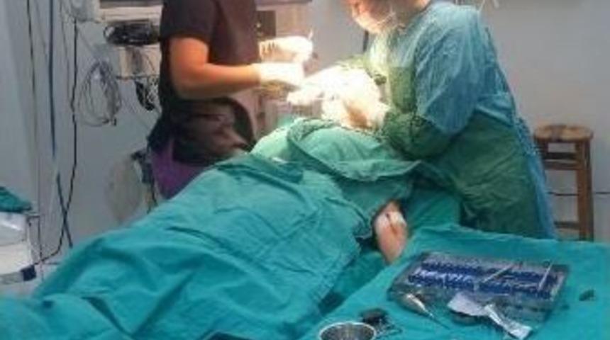 Diş Hekimliği&rsquo;nde Genel Anestezi Ve Sedasyon Altında Diş Tedavisi Arttı